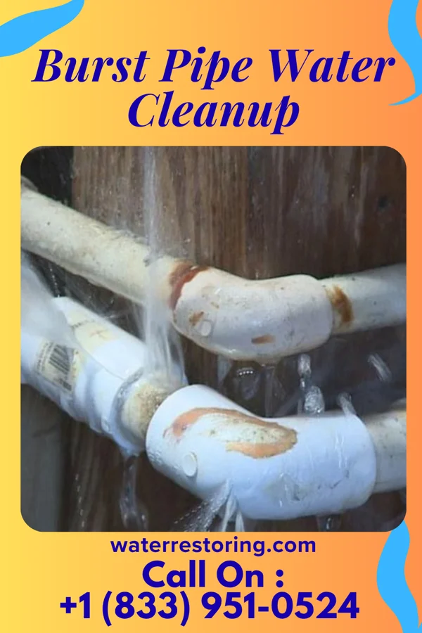 Burst Pipe Water Cleanup in Linndale, OH