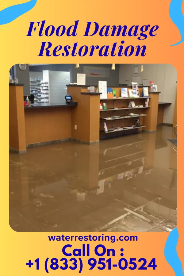 Flood Damage Restoration in Linndale, OH