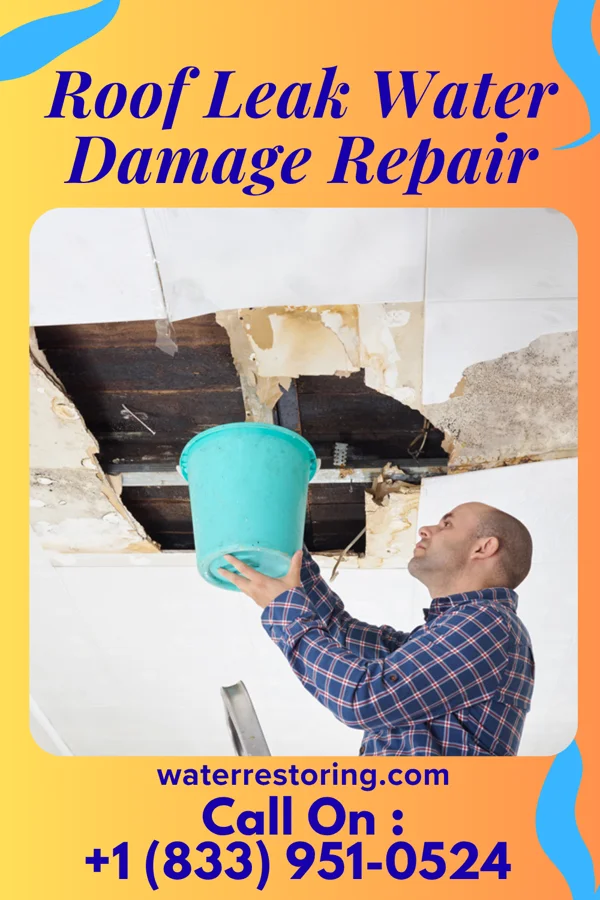 Roof Leak Water Damage Repair in Linndale, OH