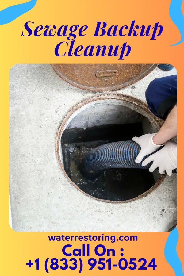 Sewage Backup Cleanup in Linndale, OH