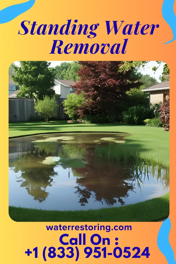 Standing Water Removal in Linndale, OH